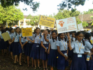 Creating social awareness about Rabies!